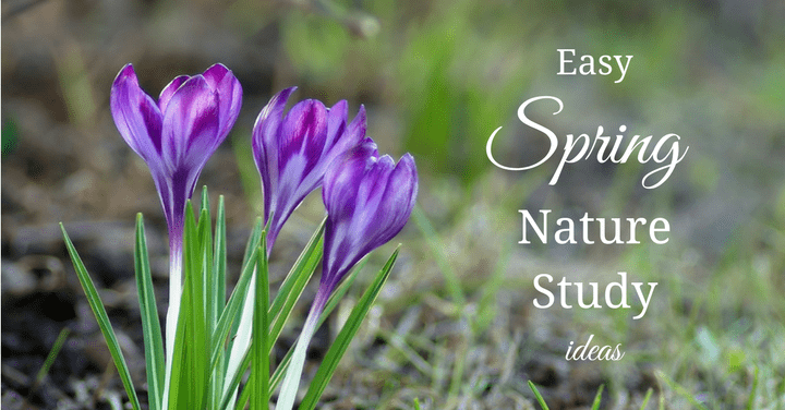 Easy Spring Nature Study Ideas Easy Spring Nature Study Ideas
