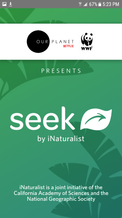A Simple Way To Make Introducing Plant Classification Fun A Simple Way To Make Introducing Plant Classification Fun