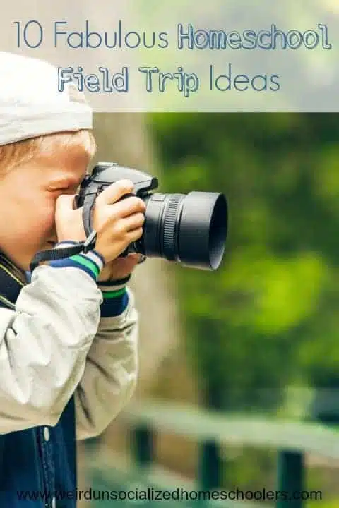 10 Fabulous Homeschool Field Trip Ideas