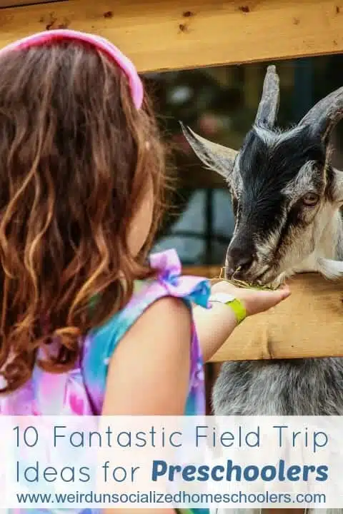field trips for preschoolers field trips for preschoolers