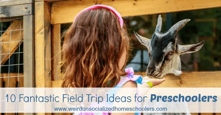 10 Fantastic Field Trip Ideas for Preschoolers 10 Fantastic Field Trip Ideas for Preschoolers