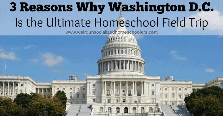 3 Reasons Why Washington D.C. Is the Ultimate Homeschool Field Trip Washington DC field trip destination for homeschoolers