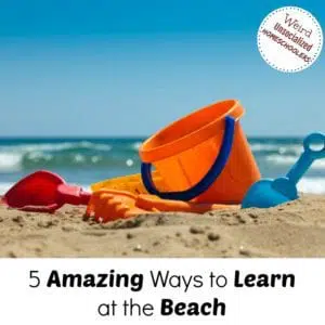 beach toys