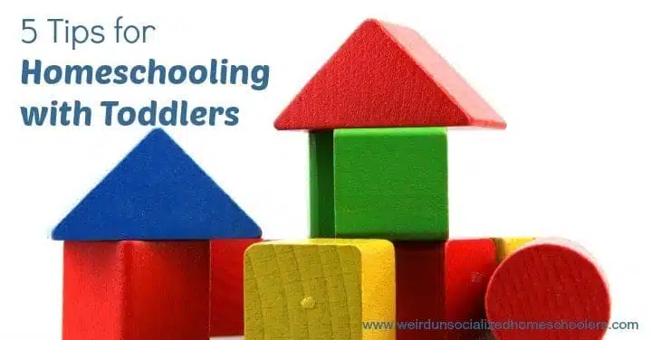 5 Tips for Homeschooling with Toddlers