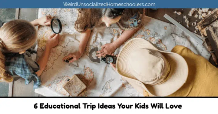 6 Educational Trip Ideas Your Kids Will Love 6 Educational Trip Ideas Your Kids Will Love