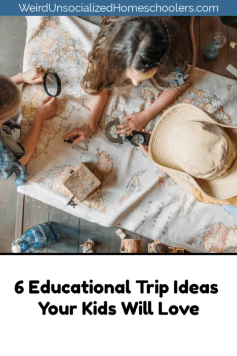 6 Educational Trip Ideas Your Kids Will Love 6 Educational Trip Ideas Your Kids Will Love