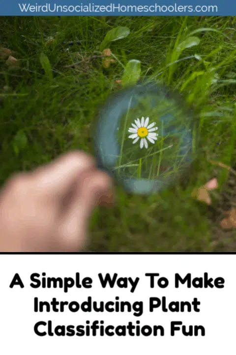 A Simple Way To Make Introducing Plant Classification Fun A Simple Way To Make Introducing Plant Classification Fun
