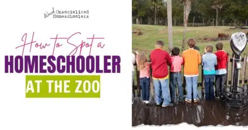 how to spot a homeschooler at the zoo