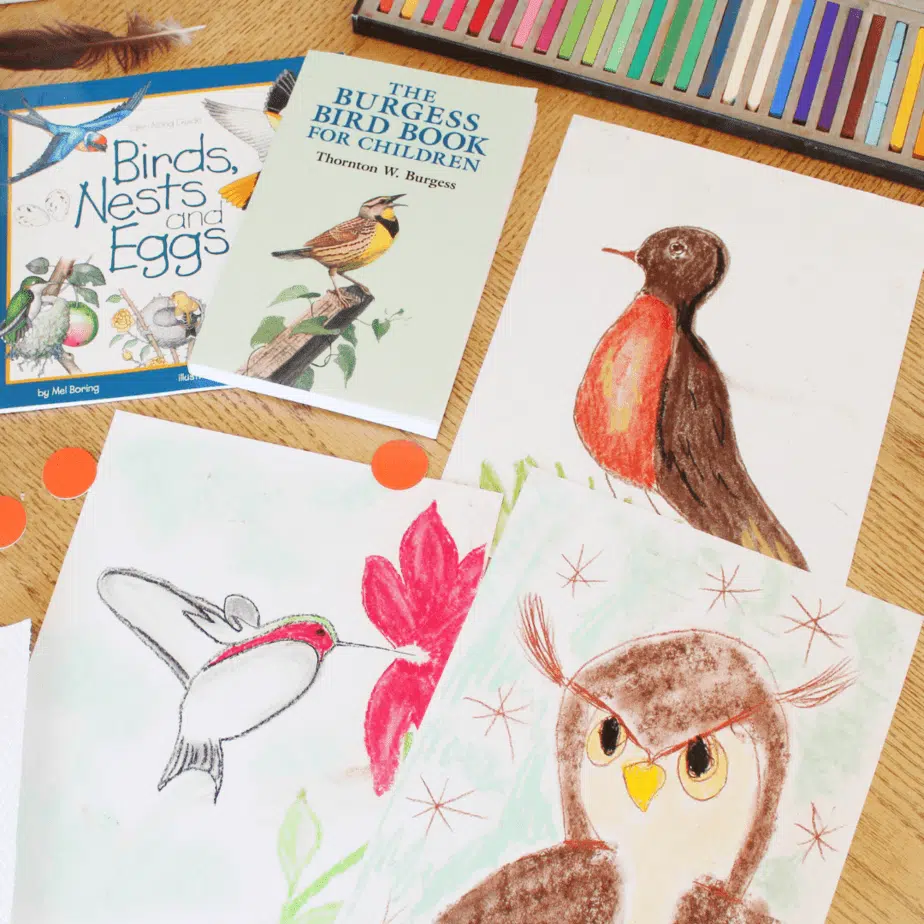 An Easy Hands-On Bird Study for Your Homeschool