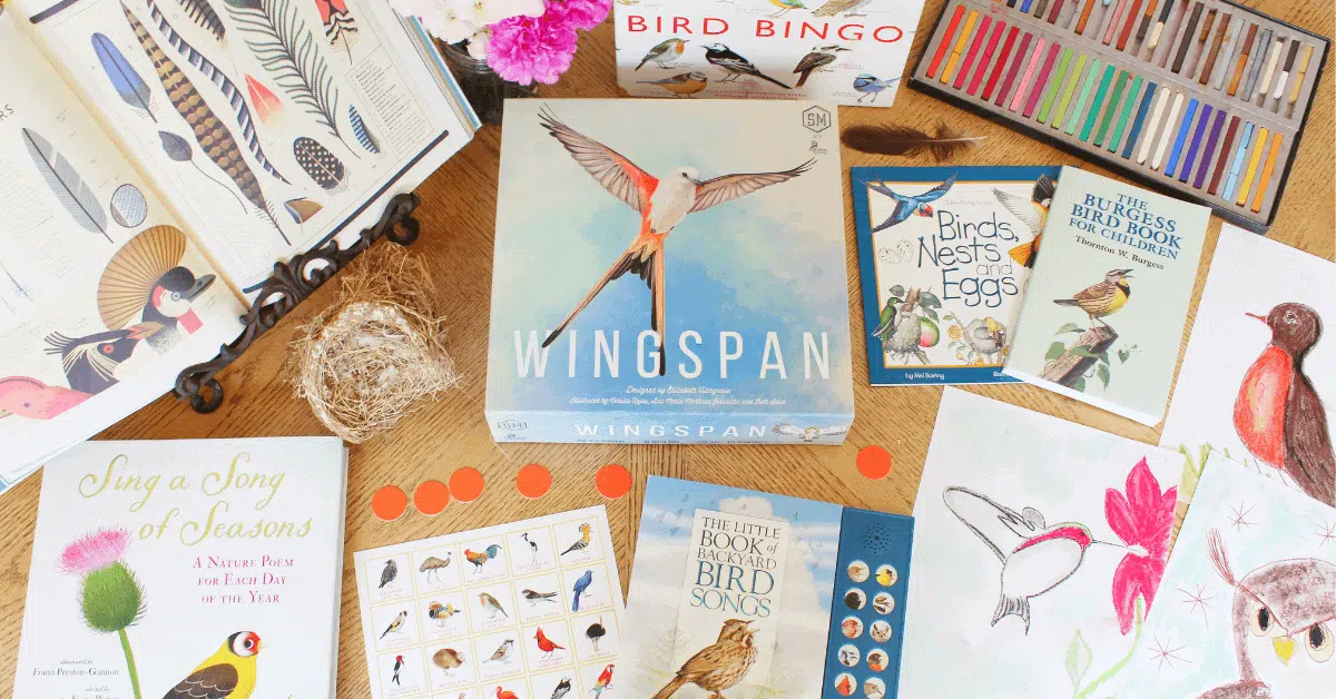 An Easy Hands-On Bird Study for Your Homeschool
