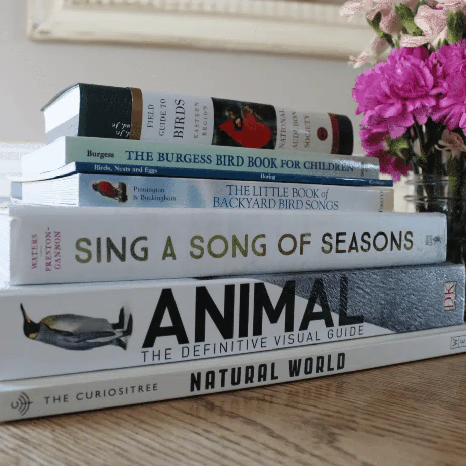 An Easy Hands-On Bird Study for Your Homeschool
