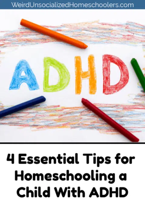4 Essential Tips for Homeschooling a Child With ADHD 4 Essential Tips for Homeschooling a Child With ADHD