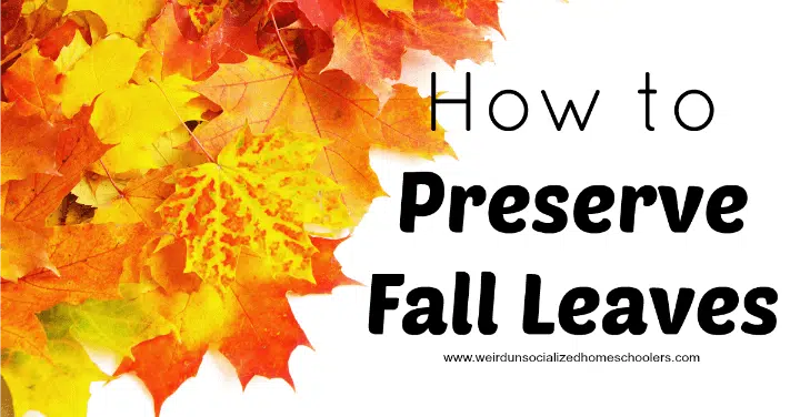 How to Preserve Fall Leaves How to Preserve Fall Leaves