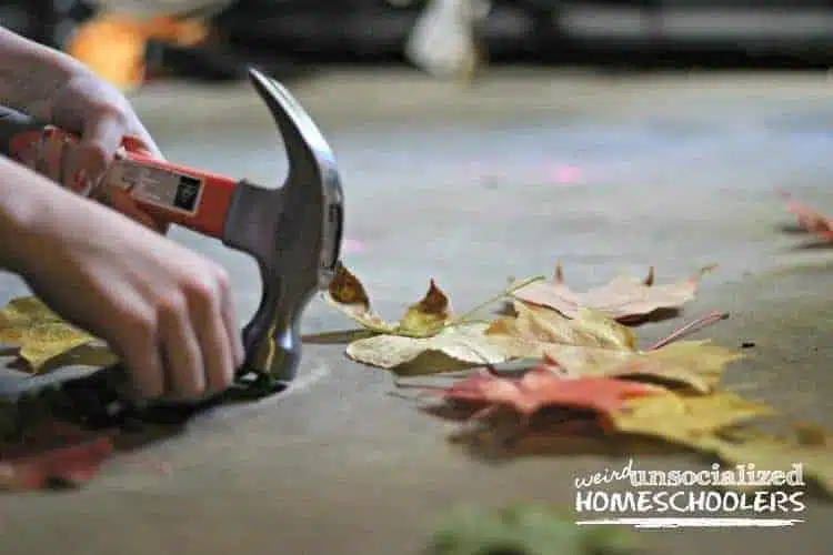 what to do with fall leaves what to do with fall leaves