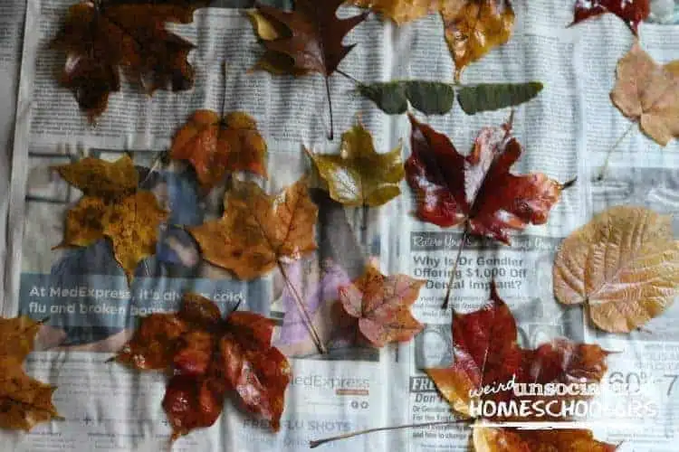 craft projects with fall leaves craft projects with fall leaves