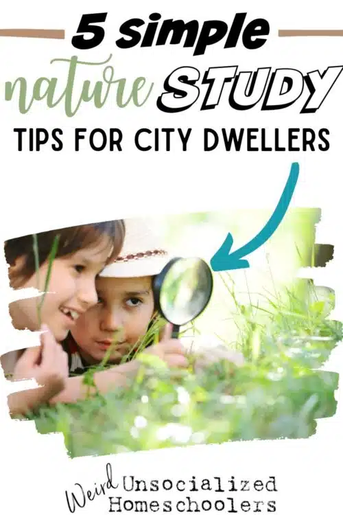 No matter where you live, there are nature study opportunities that are sure to be available. Here are some ideas even if you live somewhere that seems extremely unconducive to regular nature study, there are ways to ensure that it happens.