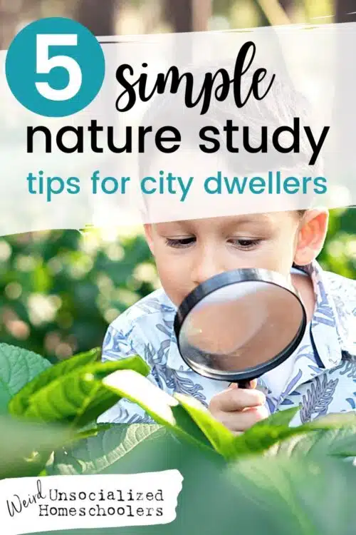 No matter where you live, there are nature study opportunities that are sure to be available. Here are some ideas even if you live somewhere that seems extremely unconducive to regular nature study, there are ways to ensure that it happens.