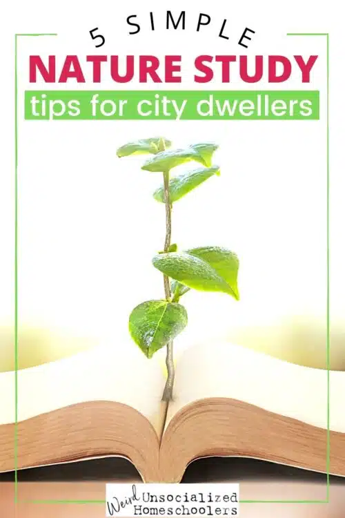 No matter where you live, there are nature study opportunities that are sure to be available. Here are some ideas even if you live somewhere that seems extremely unconducive to regular nature study, there are ways to ensure that it happens.