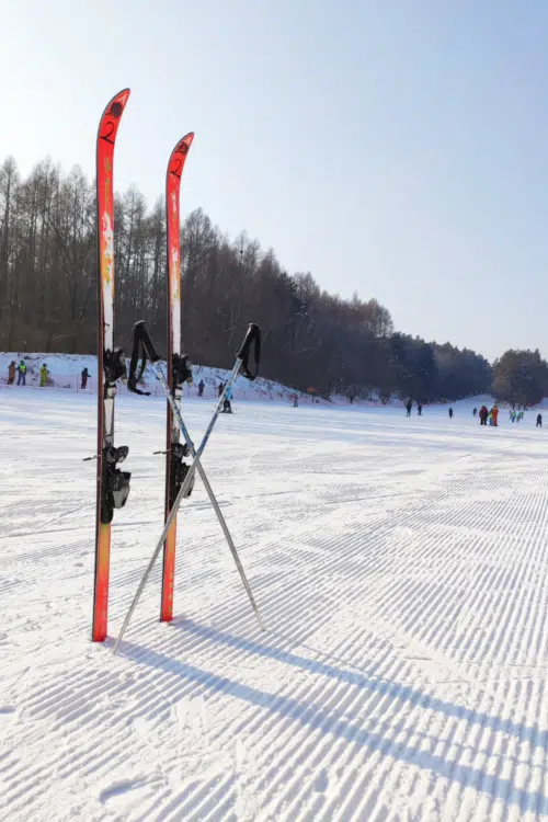winter field trips - skis