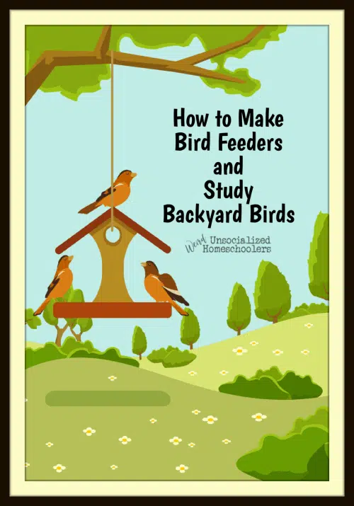 birds at bird feeder in yard